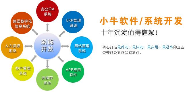 系统定制开发