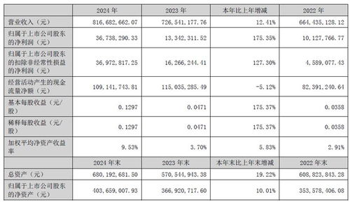 深华发2024年财报 营收8.17亿元,显示业务同增22.95